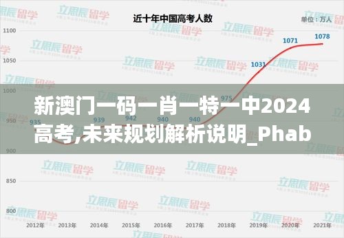 新澳门一码一肖一特一中2024高考,未来规划解析说明_Phablet16.702