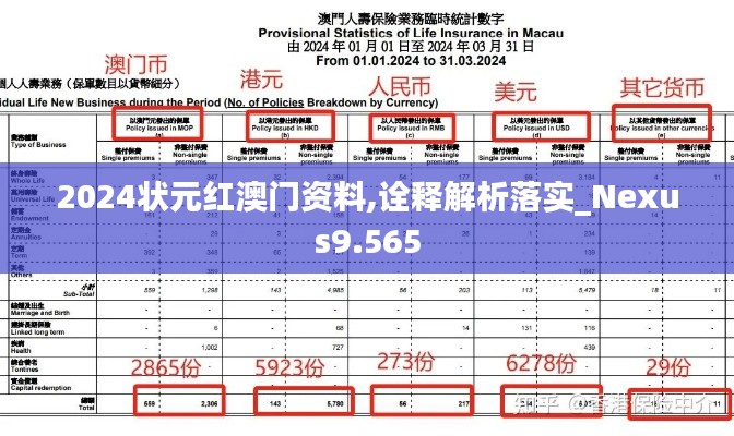 2024状元红澳门资料,诠释解析落实_Nexus9.565