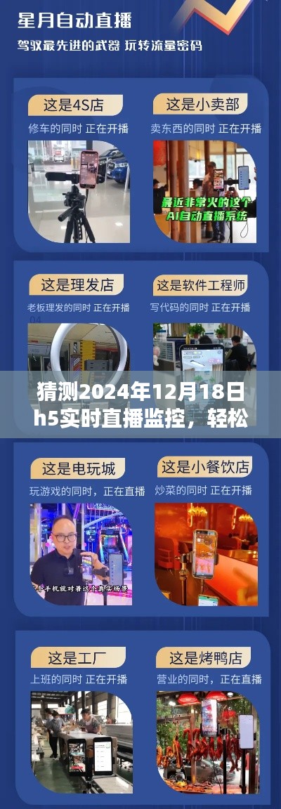 2024年H5实时直播监控详解，轻松掌握直播动态，掌握步骤指南