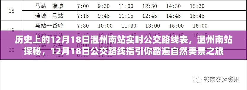 温州南站公交路线指引，探秘历史与自然的旅程，12月18日实时指南