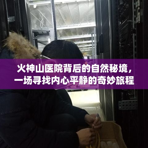 火神山医院背后的自然秘境，心灵平静之旅