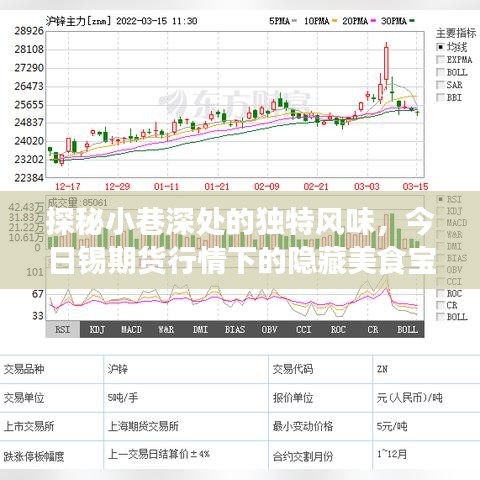 小巷深处的隐藏美食宝藏，今日锡期货行情下的美食探秘