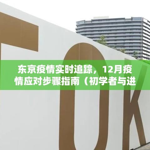 东京疫情实时追踪指南，12月应对步骤详解，适合初学者与进阶用户参考