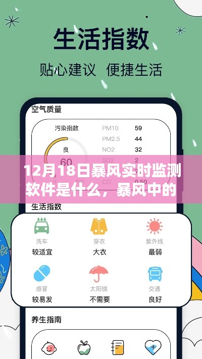 报名 第87页