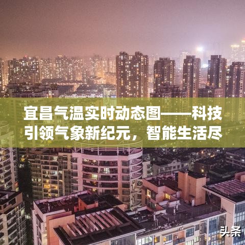 百尺无枝