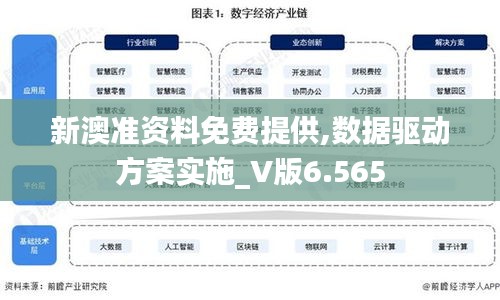 新澳准资料免费提供,数据驱动方案实施_V版6.565