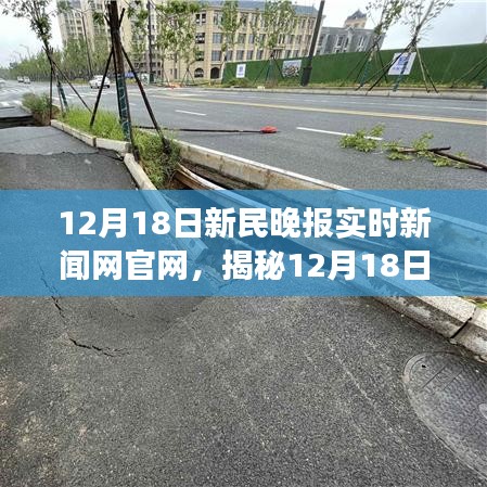 揭秘新民晚报实时新闻网官网的独特魅力与功能亮点（12月18日报道）