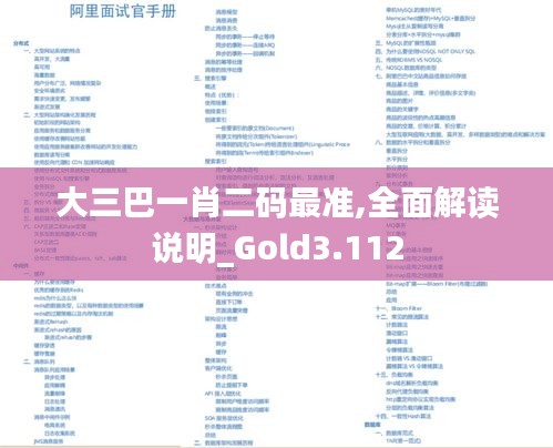 大三巴一肖二码最准,全面解读说明_Gold3.112