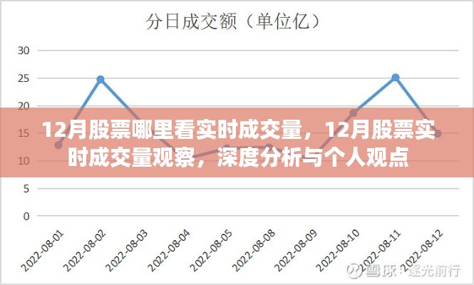 12月股票实时成交量观察全解析，深度分析与个人观点