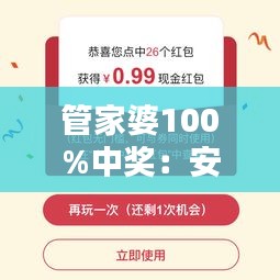 管家婆100%中奖：安全理财首选