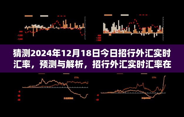 揭秘2024年12月18日招行外汇实时汇率走向及影响解析