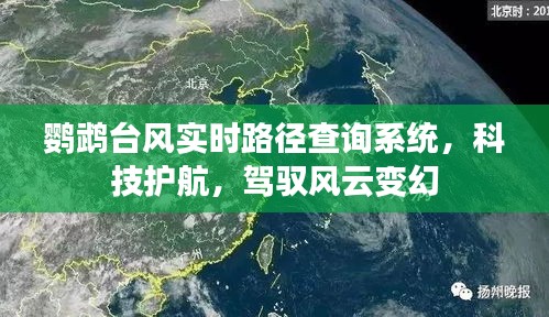 鹦鹉台风实时路径查询系统，科技助力驾驭风云变幻