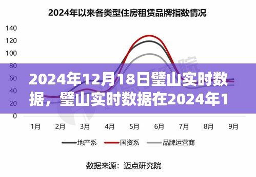 深度洞察璧山实时数据，解读璧山发展脉络的独到见解（2024年12月18日实时更新）