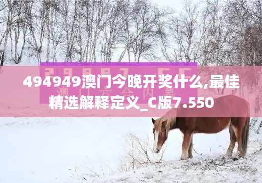 494949澳门今晚开奖什么,最佳精选解释定义_C版7.550