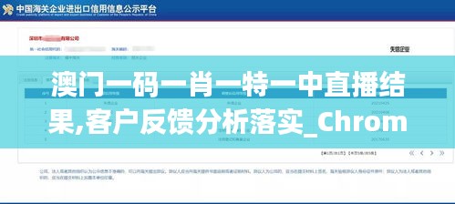 澳门一码一肖一特一中直播结果,客户反馈分析落实_Chromebook4.426