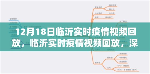 临沂实时疫情视频回放，深度解析与观点阐述（12月18日）