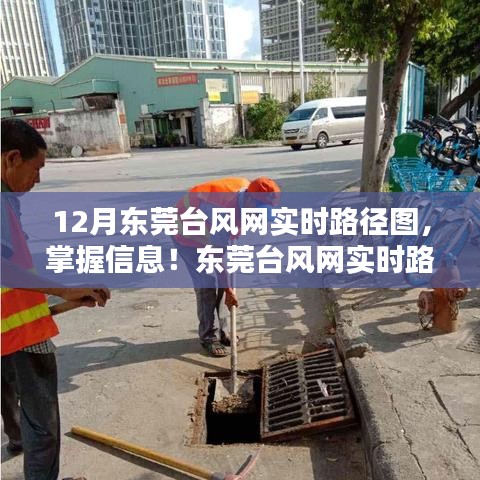 东莞台风网实时路径图详解，掌握台风动态，查询步骤全解析