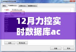 深入解析与观点阐述，力控实时数据库Access在12月的实战应用与操作指南