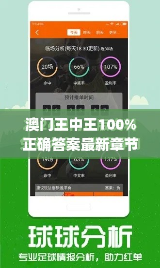 澳门王中王100%正确答案最新章节,灵活操作方案设计_Galaxy2.423