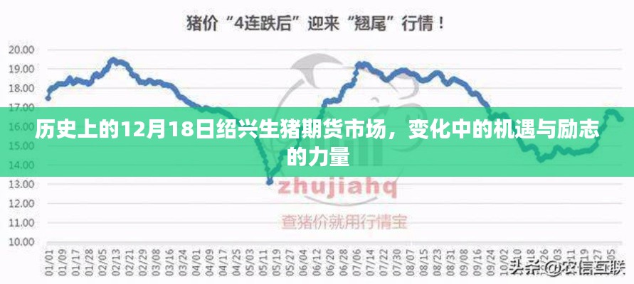 绍兴生猪期货市场，历史机遇下的励志力量与变革之路