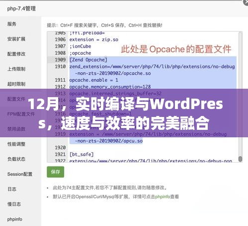 12月实时编译与WordPress，速度与效率的完美融合