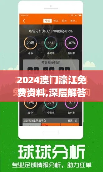 2024澳门濠江免费资料,深层解答解释落实_10DM7.504