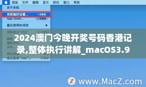 2024澳门今晚开奖号码香港记录,整体执行讲解_macOS3.984