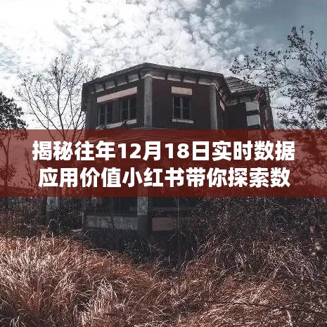 小红书带你探索数据奥秘，揭秘历年12月18日实时数据应用价值背后的无限可能！