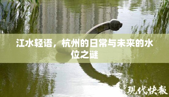 杭州的日常与未来水位之谜，江水轻语揭秘水位变迁