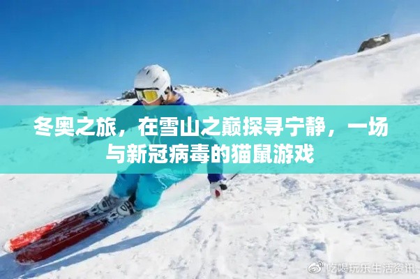 冬奥之旅，雪山之巅探寻宁静与病毒博弈的猫鼠游戏