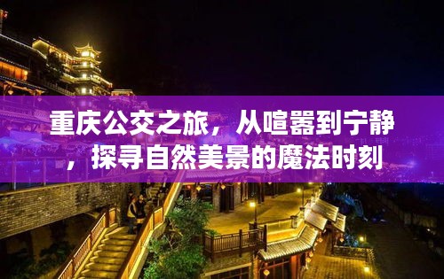 重庆公交探寻自然美景之旅，喧嚣到宁静的魔法时刻