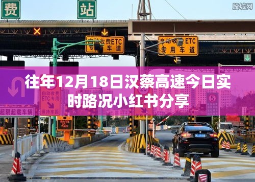 汉蔡高速实时路况小红书分享，往年今日路况速递