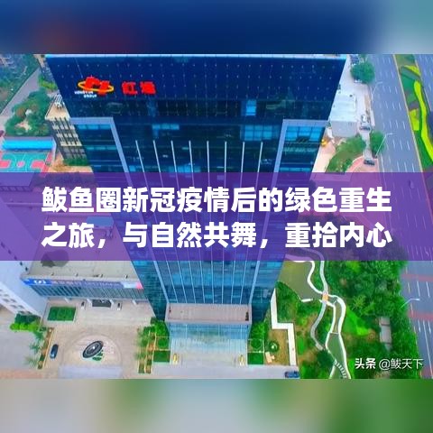 鲅鱼圈疫情后绿色重生之旅，与自然和谐共舞，重拾内心宁静