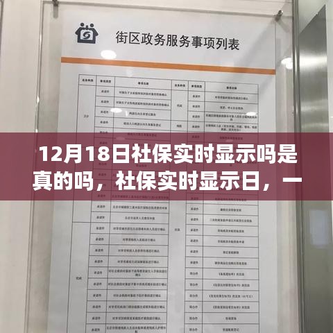 探秘社保实时显示日，温馨有趣的社保之旅