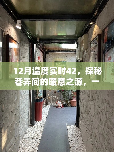 巷弄深处的暖意之源，特色小店实时探秘，12月温度高达42度