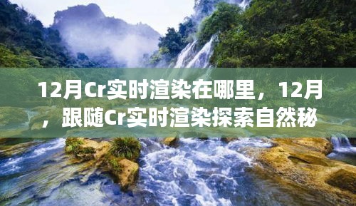 12月跟随Cr实时渲染探索自然秘境，寻找心灵宁静的角落