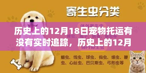 历史上的12月18日宠物托运变迁，实时追踪技术的成长与自信之路