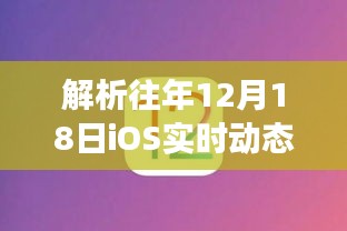 2024年12月20日 第3页