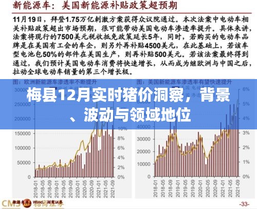 梅县12月实时猪价洞察，背景、波动与领域地位分析