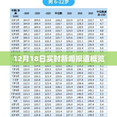 12月18日全球新闻报道概览