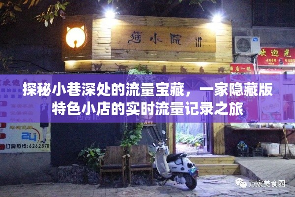 探秘小巷深处的流量宝藏，特色小店的实时流量记录之旅揭秘