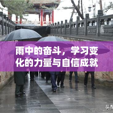 雨中奋斗，学习变化的力量与自信成就之路