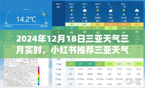 三亚天气实时播报与体验分享，从三月展望到未来的天气变化