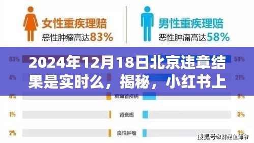 北京违章结果实时查询指南，揭秘小红书上的查询真相