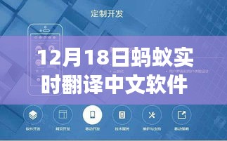 蚂蚁实时翻译中文软件，探秘小巷深处的宝藏，开启奇妙之旅！