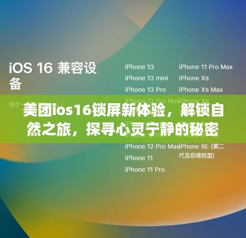 美团iOS 16锁屏新体验，解锁自然之旅，探索心灵宁静之旅