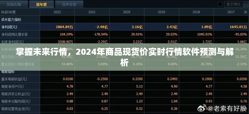 掌握未来行情，2024年商品现货价实时行情软件预测解析报告