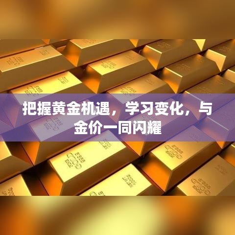 把握黄金机遇，学习变化，共赴金价闪耀之路