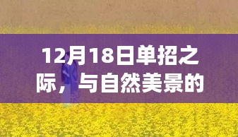 12月18日单招之旅，与自然美景的不期而遇，内心平静的奇妙寻找