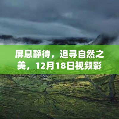 屏息追寻自然之美，视频影像实时传输之旅开启